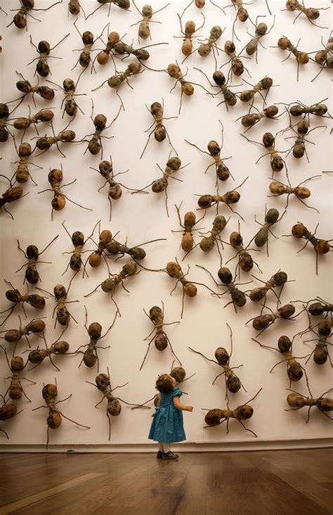 Ant Art Installations by Rafael Gómezbarros | GRAVERAVENS