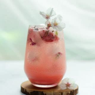 12 Best Cherry Cocktails to Drink in 2023 - MyBartender