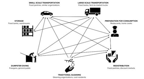 Gleaning research | Andrew Nelson