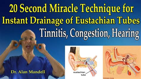 Sign in | Eustachian tube dysfunction, Ear health, Lymphatic drainage massage