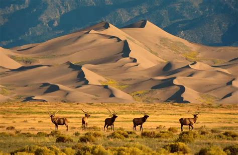 A Guide to Great Sand Dunes National Park, Colorado