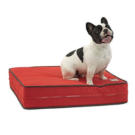 8 Best Memory Foam Dog Beds for 2019 | The Dog People by Rover.com