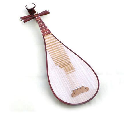 Sound of Mountain Music: Concert Grade Rosewood Pipa Instrument With Accessories