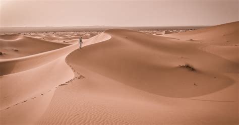 Facts About the Sahara Desert