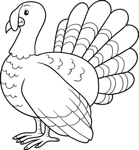 Colored Turkey Drawing at GetDrawings | Free download