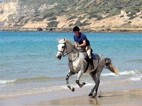 World's Top Destinations for Horse Riding Along the Beach ...