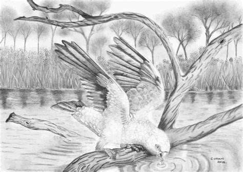 Pencil Shading Drawing Pictures at PaintingValley.com | Explore collection of Pencil Shading ...