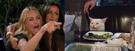 Woman Yelling at a Cat HD meme upscale | Woman Yelling at a Cat | Cat memes, Meme template, Best ...