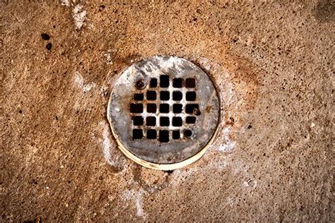 What To Do When Your Basement Floor Drain Is Clogged