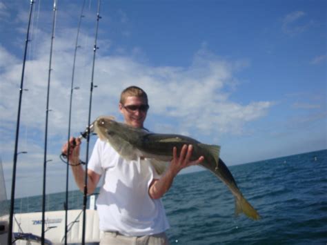 naples florida fishing charter justin - Naples Saltwater Fishing