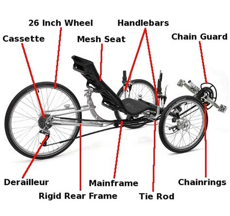 TRIKE ANATOMY | Tadpole Rider