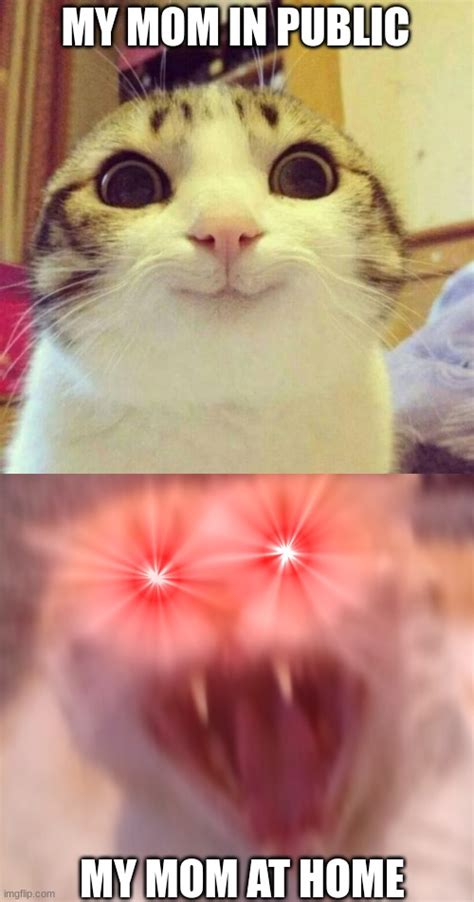 Angry Cat Meme