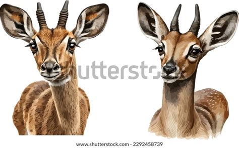 Antelope Clipart Isolated Vector Illustration Stock Vector (Royalty Free) 2292458739 | Shutterstock