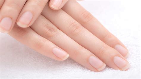 How To Maintain Healthy Nails? | Wholesalechristmascostumes Fashion