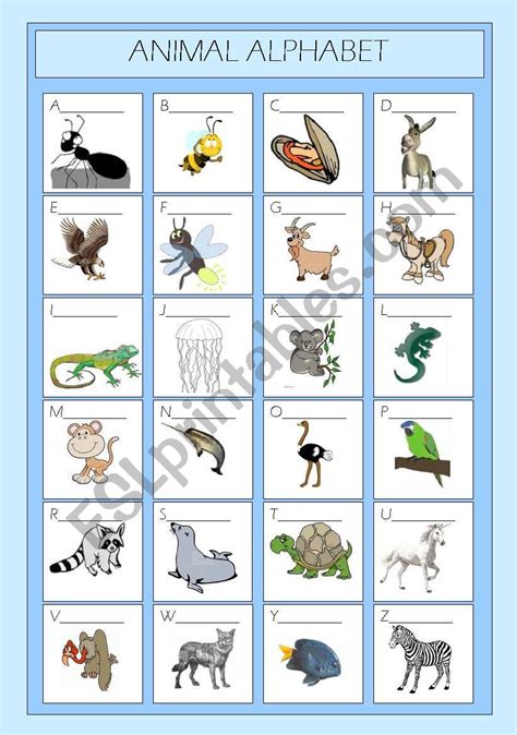 Animal Alphabet - ESL worksheet by cherna