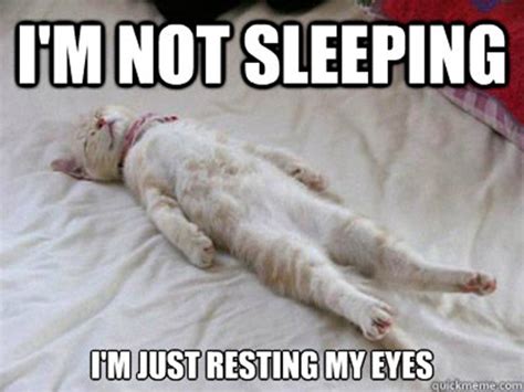 45+ funny sleep memes because it's way past bedtime