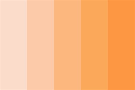 Trajectory Peach Color Palette