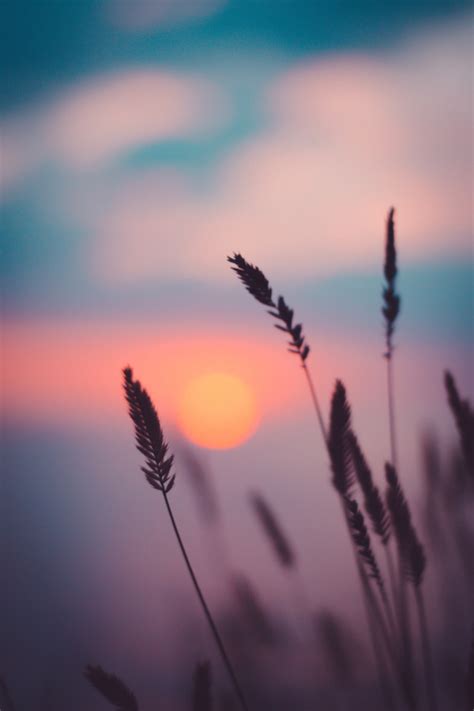 Stunning Sunset Aesthetic Wallpaper For Your Phone!