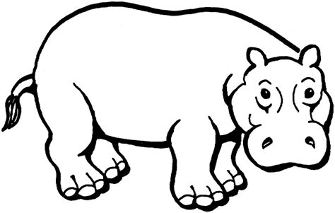 Free Hippo Images For Kids, Download Free Hippo Images For Kids png ...