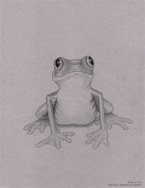 Frog Pencil Drawing at PaintingValley.com | Explore collection of Frog ...