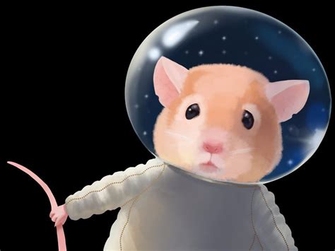 Rodent Research Nasa Logo