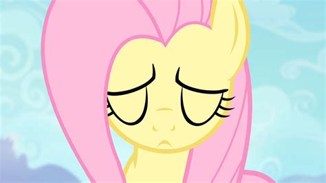 Image - Fluttershy about to do the Stare S4E07.png | My Little Pony Friendship is Magic Wiki ...