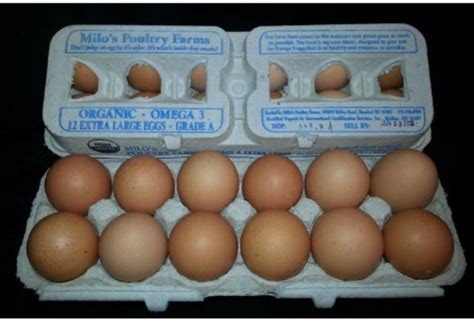 Buy Milo's Poultry Farms Eggs, Large Online | Mercato