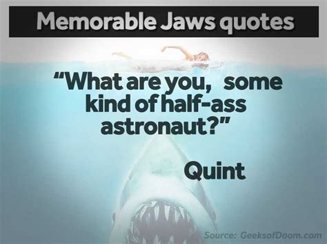 'Jaws' at 40: 17 memorable movie quotes