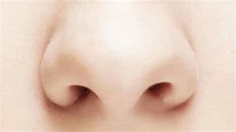 Why Does One Nostril Always Clogged? - IYTmed.com