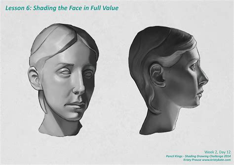 Full value study of the head.