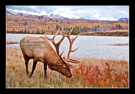 Elk Oil Painting