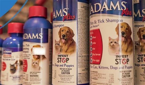 6 Best Flea Shampoos for Cats in 2024 [Detailed Reviews]