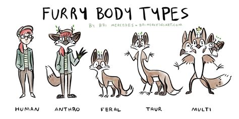 Bri's Guide to Basic Furry Body Types — Weasyl