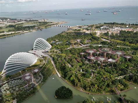 Gardens By the Bay from top of Marina Bay Sands : r/singapore