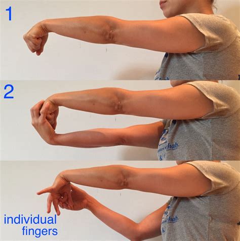 Wrist Flexion And Extension Exercises