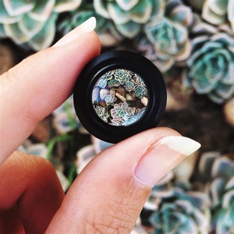 How To Shoot Amazing Macro Photography With Your iPhone