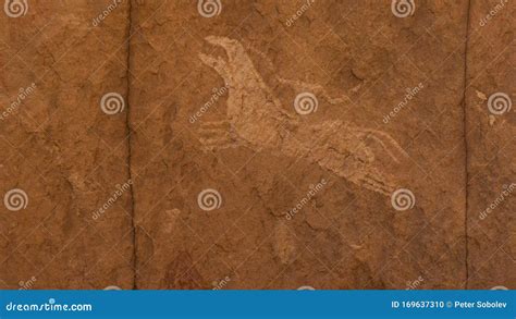 Ancient Rock Art in Sahara Desert Stock Photo - Image of rock, prehistoric: 169637310