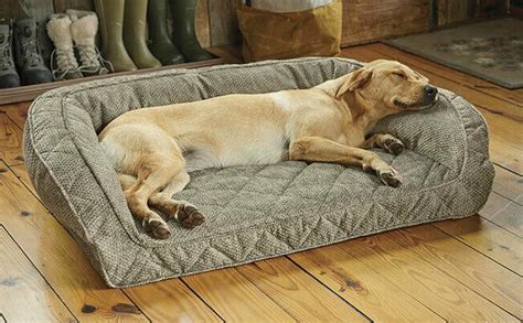 ORVIS MEMORY FOAM BOLSTER DOG BED *new* small