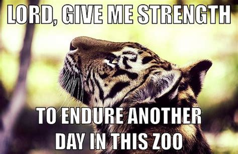 Meme: "Lord, give me strength to endure another day in this zoo." | Give me strength quotes ...