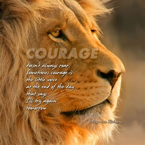 Motivational Quotes With Lions Fight. QuotesGram