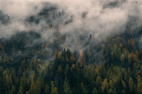 Fondos de pantalla : Pinos, aéreo, paisaje, naturaleza, niebla, bosque, Dolomitas montañas ...