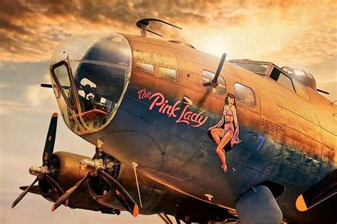 nose art, the pink lady | Nose art, Wwii airplane art, Aircraft art