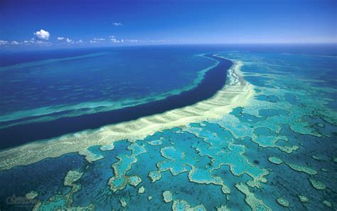 Great Barrier Reef, The Largest Coral Reef Tourism in The World ...