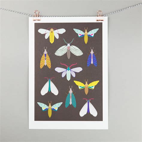 A4 Art Print Moth Illustration on Dark Background - Etsy UK