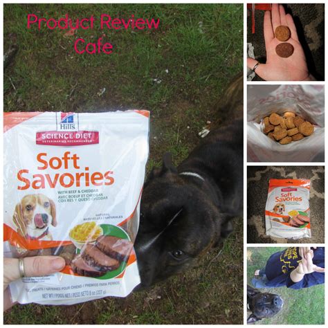 Hill’s Science Diet Soft Savories with Beef & Cheddar Dog Treats ...