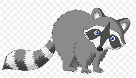 Raccoon Cartoon Drawing, PNG, 800x475px, Raccoon, Black And White, Carnivoran, Cartoon, Cat ...