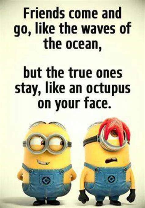 40 Crazy Funny Friendship Quotes for Best Friends - Dreams Quote