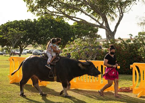 Andersen AFB community celebrates native CHamoru people, Guam culture ...