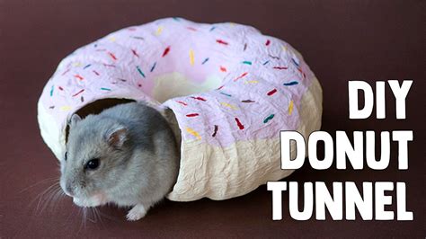 DIY Donut Tunnel For Hamsters & Mice - YouTube