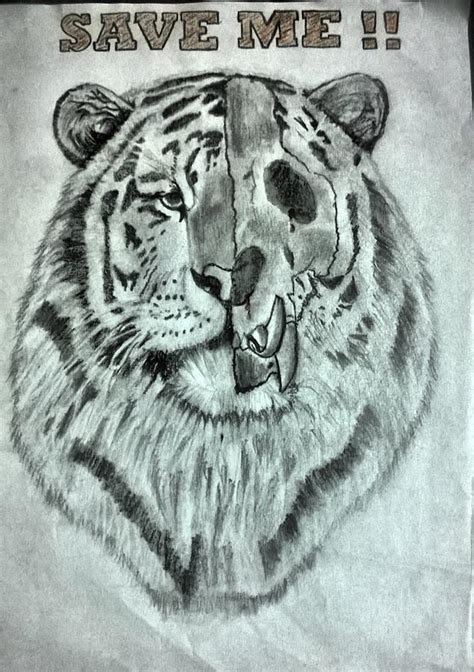 Save Tiger Drawing by Amitabh Ganguly | Pixels